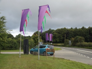 Purple flags